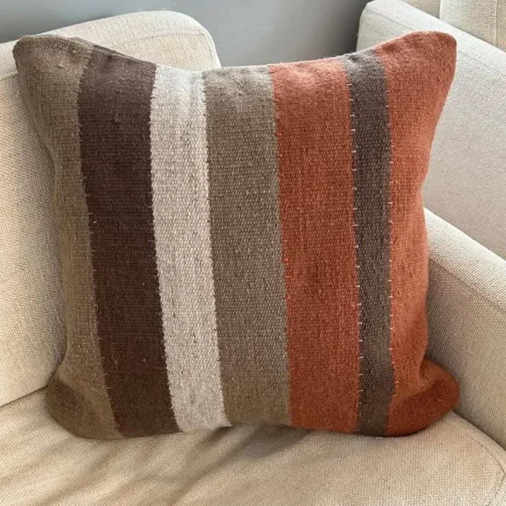pottery barn 22” wool throw pillow cover with down insert